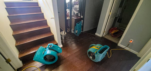 Best Flooded house restoration  in Madera Ranchos, CA
