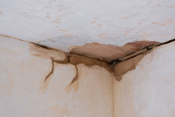 Best Flooded house restoration  in Madera Ranchos, CA