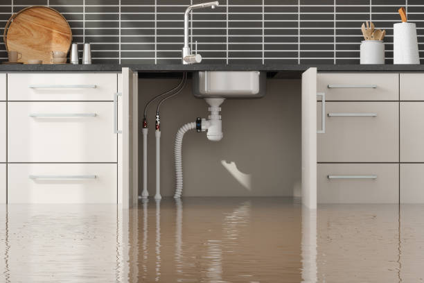 Best Flood damage cleanup  in Madera Ranchos, CA