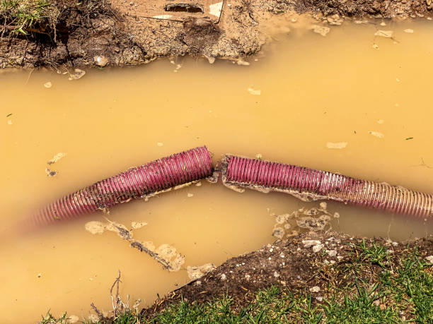 Best Residential water damage restoration  in Madera Ranchos, CA