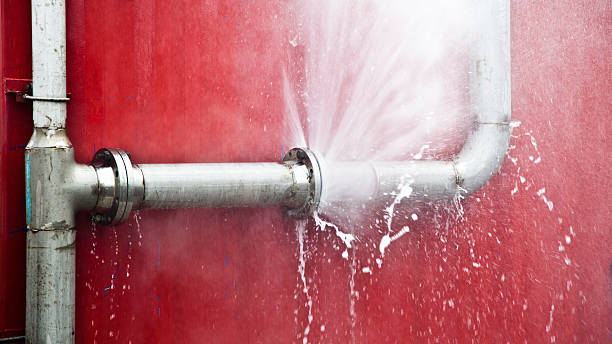 Best Water damage contractors near me  in Madera Ranchos, CA