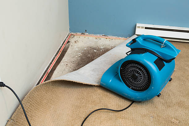 Best Local water damage restoration  in Madera Ranchos, CA
